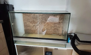 Terrarium 80x50x40 abzugeben 