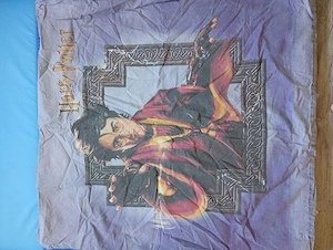 Wendebettwäsche Harry Potter Quidditch mit Knöpfen 135*200