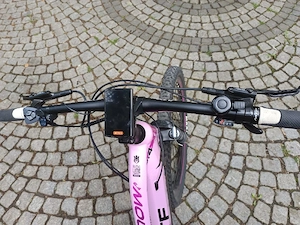 Damen E Mountainbike 
