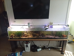 Aquarium Unikat