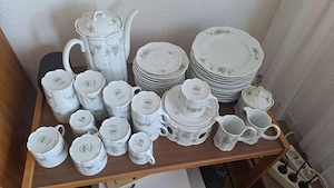 Rosenthal Kaffeegeschirr monbijou Serie grüne ranke,12 Personen; 