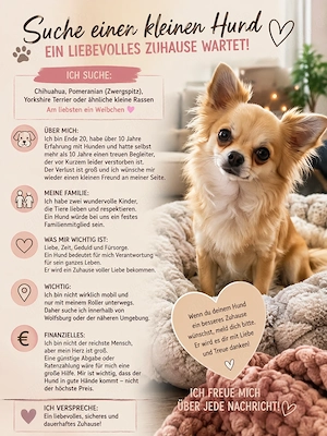 Suche einen kleinen Hund   ein liebevolles Zuhause wartet   