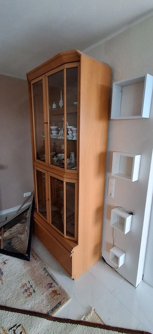 Vitrine massiv Holz