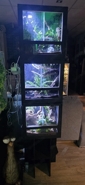 3 mal 40 40 40 OSB Terrarium 