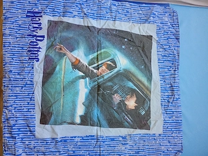 Wendebettwäsche Harry Potter Harry und Ron im Auto 135*200