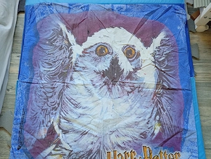Wendebettwäsche Harry Potter Harry und Hedwig 135*200