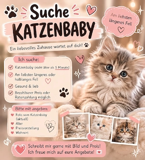 Suche Katzenbaby 