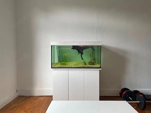 200-Liter-Aquarium mit Unterschrank und umfangreichem Zubehör
