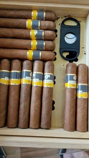 Original coibha aus Kuba 