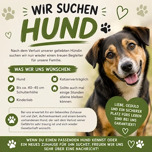    Wir suchen eine Hund    vielleicht wartet genau sie auf uns!   