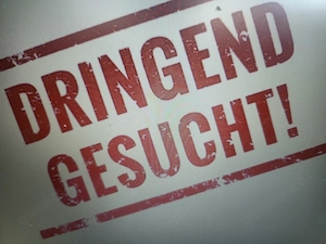 Golden Retriever Hündin gesucht