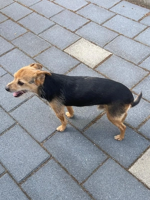 ALFI sucht ein ruhiges Plätzchen