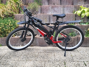  Fantig GS 007 E-Bike Fahrrad Rad mit Zubehör inkl. Chip