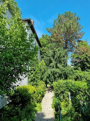 Designer 4,5-Zimmer-Penthouse-Wohnung München-Harlaching Menterschwaige Isar-Hochufer