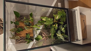 Terrarium 50x50x100cm 