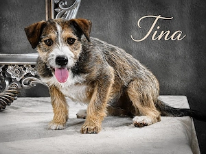 Tina - kleine Chefin