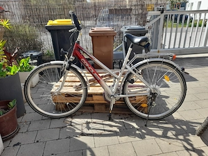 Damen Fahrrad 26 Zoll