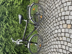 Herrenfahrrad Pegasus