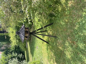 Vogelhaus Holz massiv