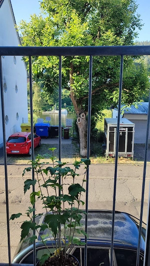 Unternehmungen für Körper und Seele 