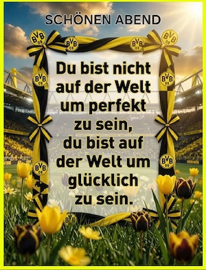 Suche feste Beziehung mit Zukunft.