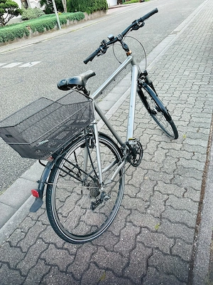 Herren Fahrrad von Steppenwolf 