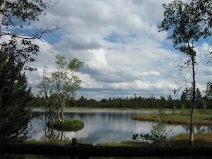 Leben mit und in der Natur