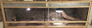 Terrarium 145 