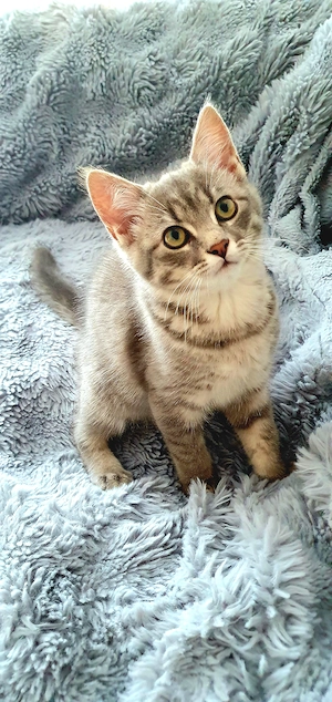 Schöner Bube
