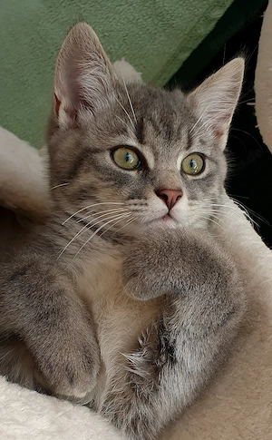 Schöner Bube