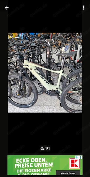 e bike - Pedelec Giant Fathom E +2
