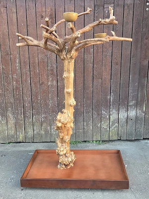 Vogelbaum Papageienfreisitz Javaholz Freisitz Papagei 