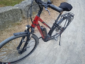 E-Bike Pegasus premio E10 - Top Zustand