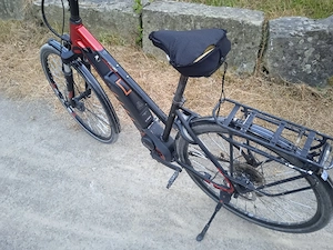 E-Bike Pegasus premio E10 - Top Zustand Bild 4