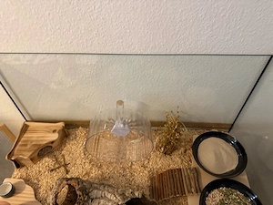 Hamsterweibchen mit Gehege und Zubehör 