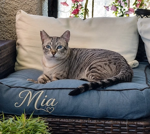 Mia und Zoe in Wiesbaden (ALO) Bild 7