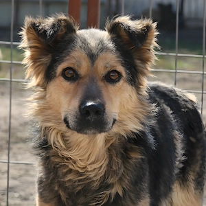 Kibo ist ein lebensfroher Bub