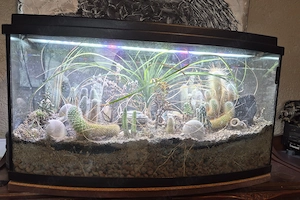 Aquarium gegen 2 Kisten Tannenzäpfle Bier abzugeben 