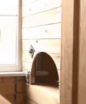 Er (passiv) sucht ihn für Gloryhole 