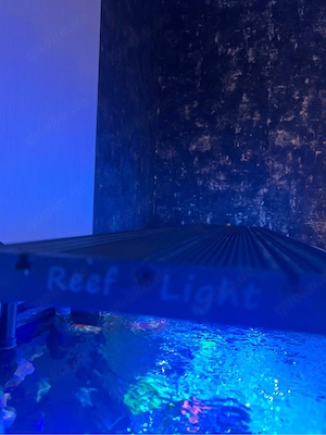 Reeflight, no redsee, Ati, Meerwasserbeleuchtung, Aquariumlampe, Meerwasserlampe