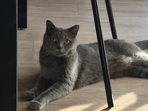 BKH - 1,5 Jahre - 
