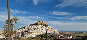 Andalusien Salobrena - Haus- kein Luxus dafür Charakter - Haustier erlaubt Bild 13