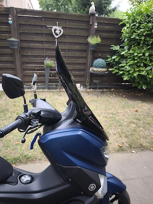 Yamaha nmax Windschild getönt von Puig Bild 5