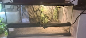 Terrarium Exo terra 