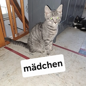 Wir suchen ein neues zuhause