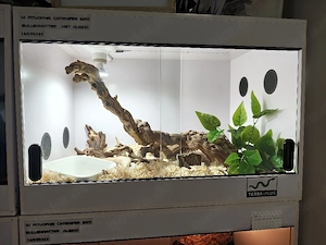 verkaufe Terrarium 60*40*40