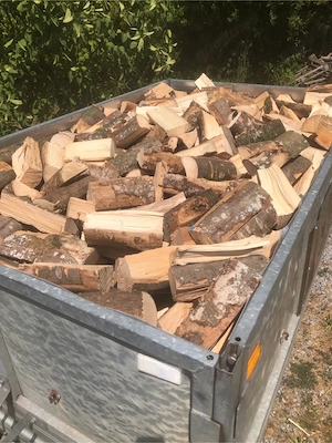 Brennholz Buche 25 oder 33cm länge
