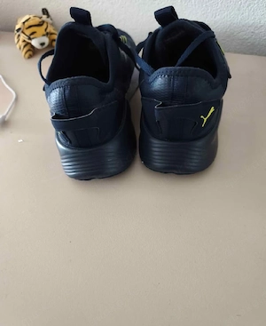 puma......
