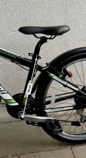 Mountainbike 26 Zoll Steppenwolf Bild 8