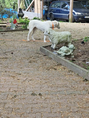 Beatrice aus Zypern sucht ein Traumschloss